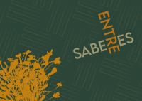 Livro Entre Saberes, organizado por Agda Carvalho